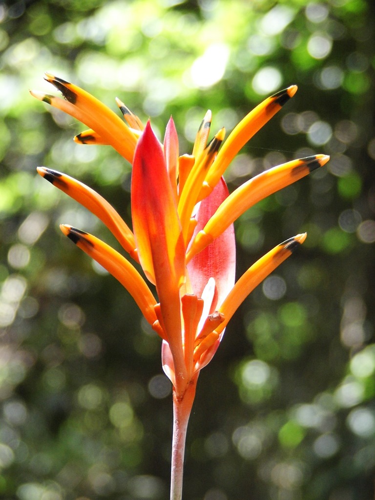 287   Gdzieś W Azji